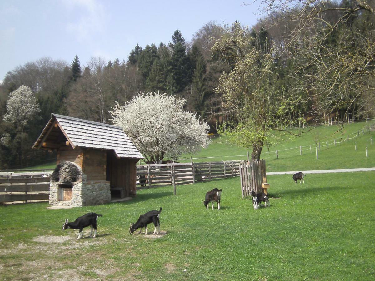 Bauernhof Kaspergut Villa Kirchberg bei Mattighofen Exterior foto